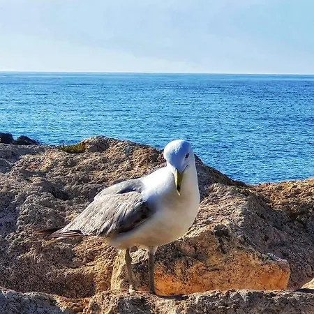Cómodo apartamento cerca del mar Santa Pola Exterior foto